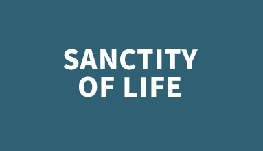 Sanctity of Life Link