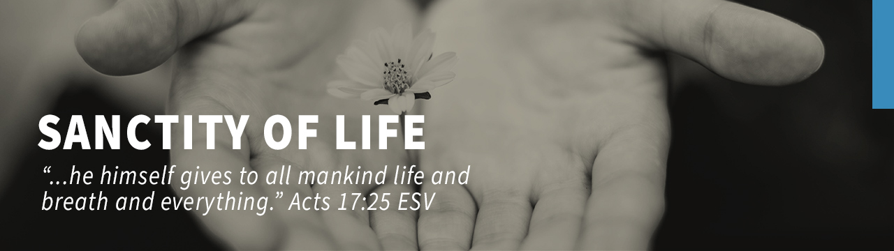 SanctityofLife2020_WebPageBanner.jpg