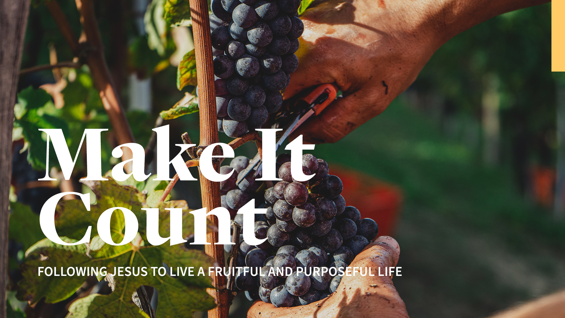 Make It Count: Following Jesus to live a fruitful and purposeful life
