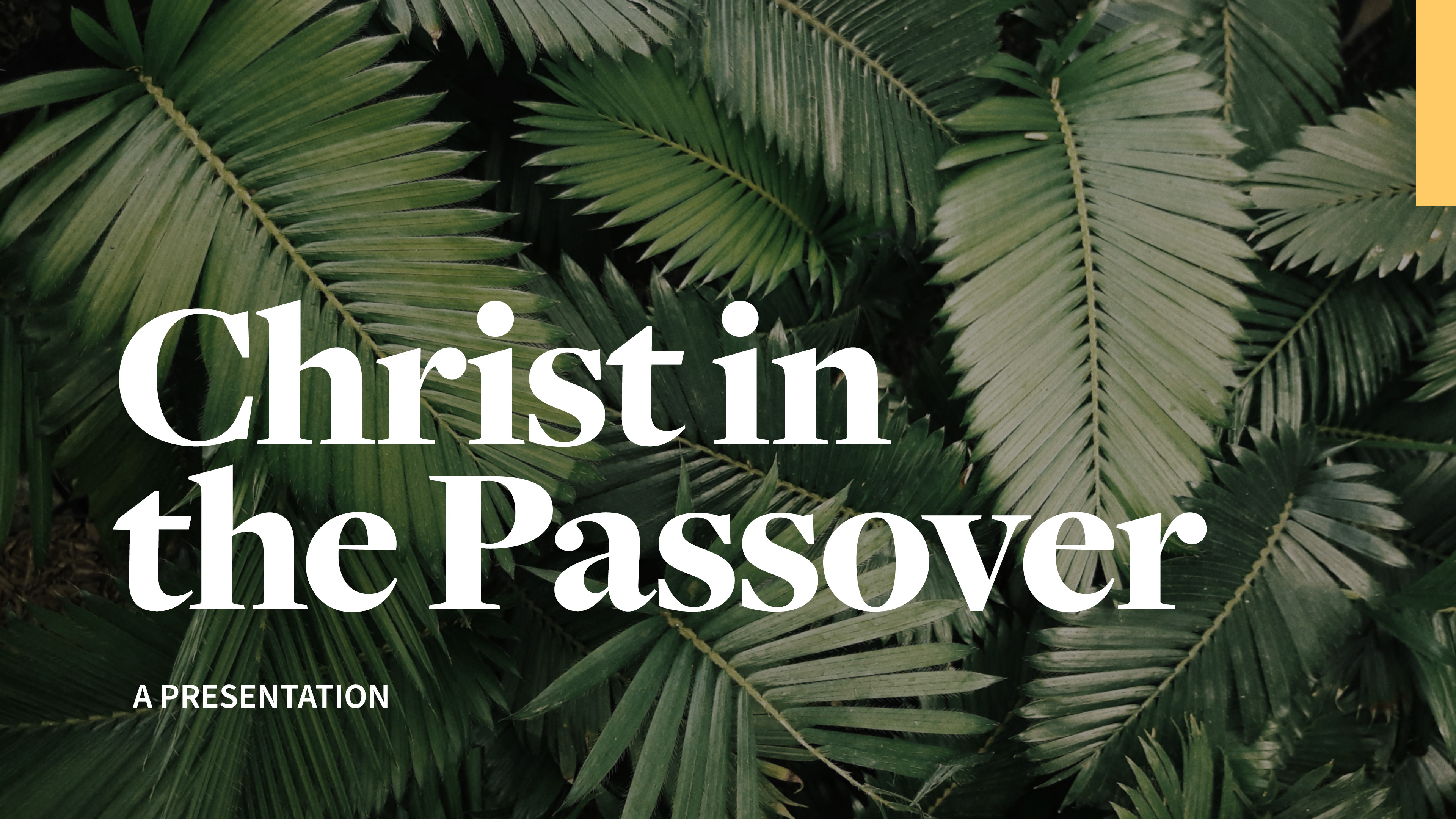 Christ in the Passover: A Presentation